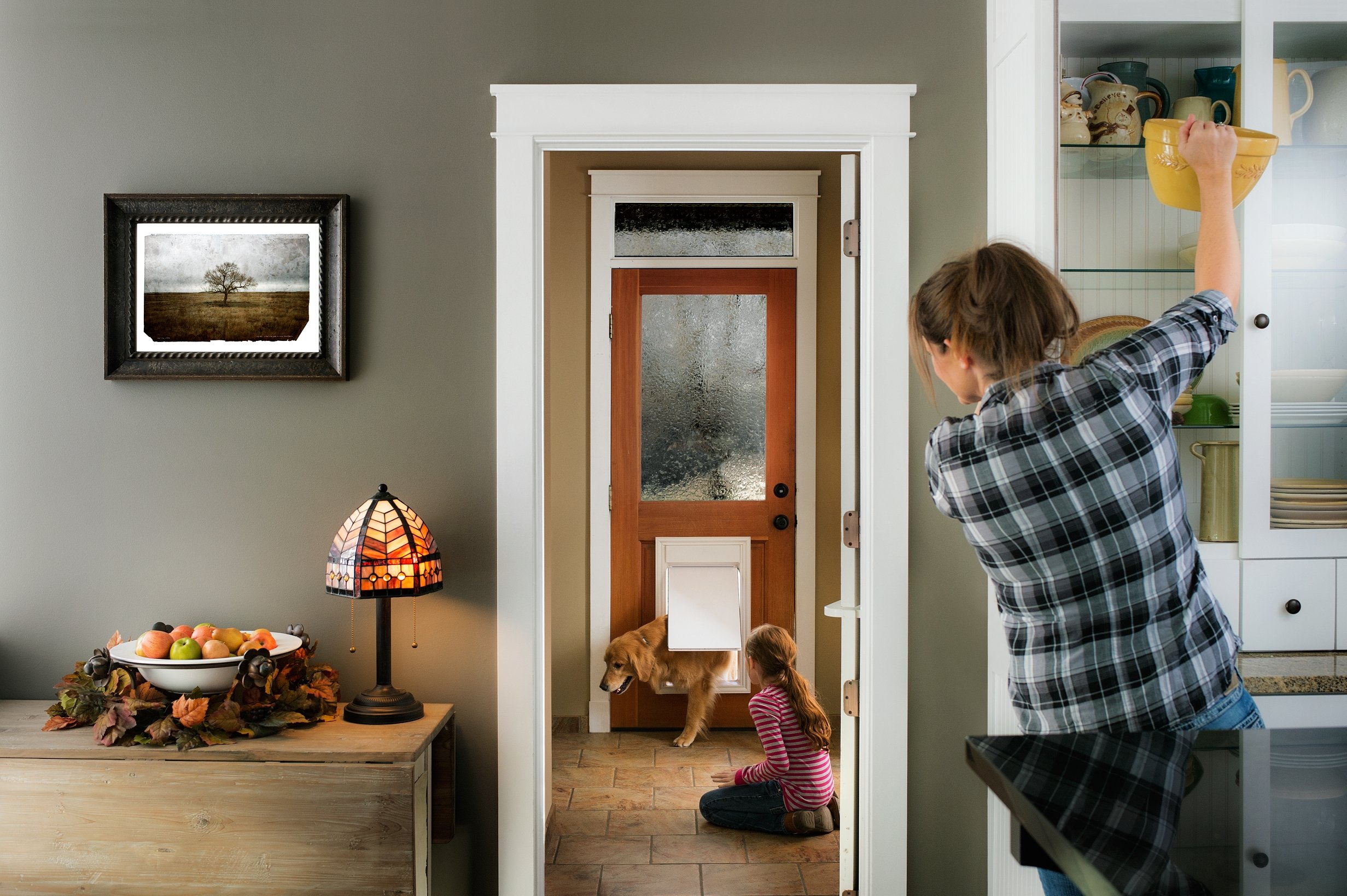 How To Keep Mud Out Of House With Dogs